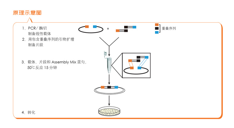 全式金產品再登《Science》雜志