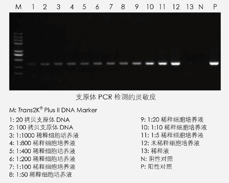 【逛展會(huì)零距離】“渝”您共赴中國(guó)細(xì)胞生物學(xué)學(xué)會(huì)2021年全國(guó)學(xué)術(shù)大會(huì)