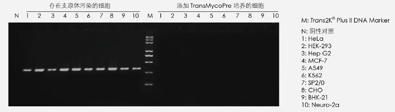 【逛展會(huì)零距離】“渝”您共赴中國(guó)細(xì)胞生物學(xué)學(xué)會(huì)2021年全國(guó)學(xué)術(shù)大會(huì)