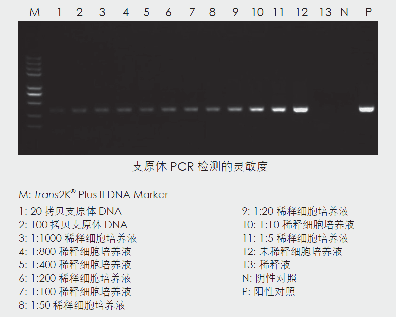 全式金產(chǎn)品再登《Nature》雜志