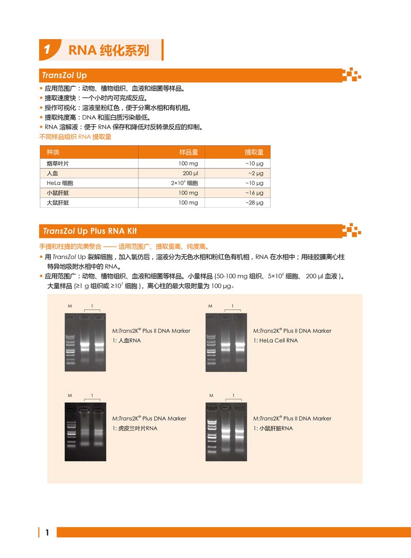 全式金明星產(chǎn)品