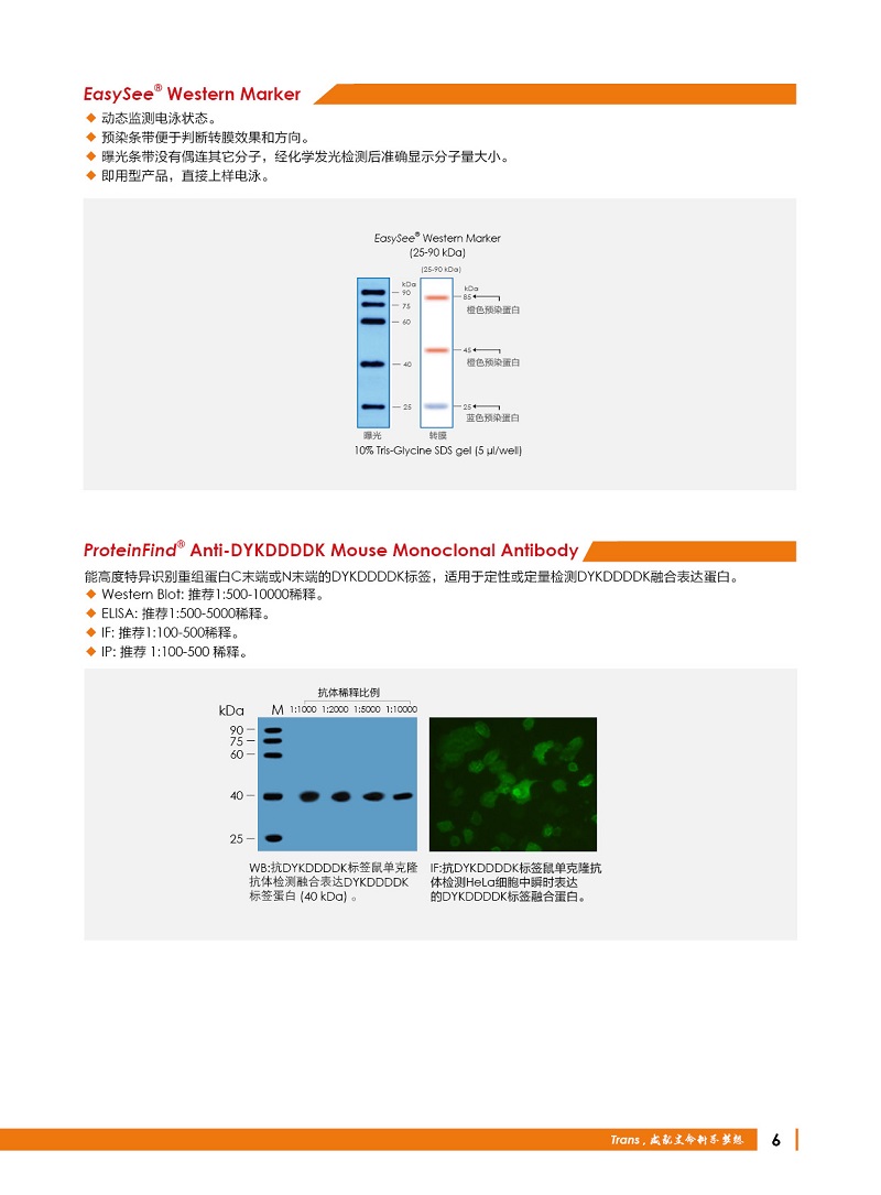 細(xì)胞生物學(xué)金牌產(chǎn)品7.5折大促，別錯(cuò)過哦