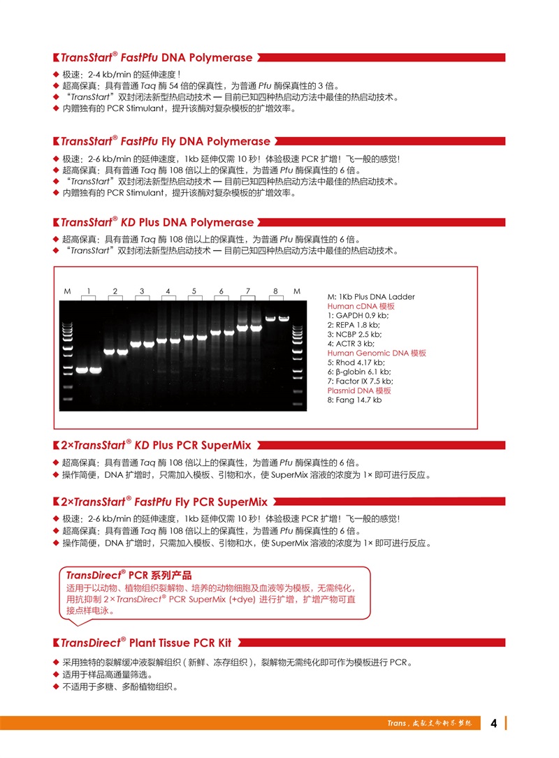全式金 12周年慶金牌產(chǎn)品推薦（非北京上海廣州深圳地區(qū)）