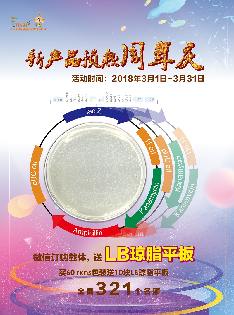 新產(chǎn)品預(yù)熱周年慶，買載體送平板
